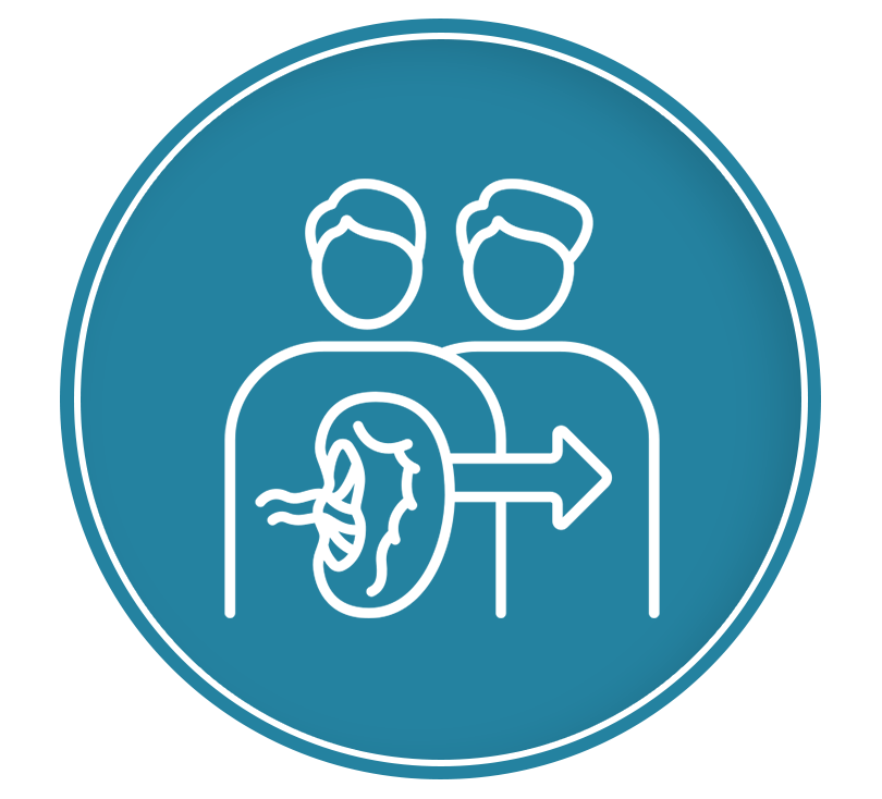 Kidney Cancer