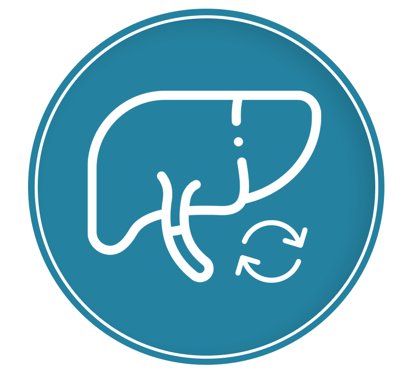 Liver Cancer